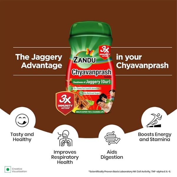 Zandu Chyavanprash Avaleha 900g - Image 2