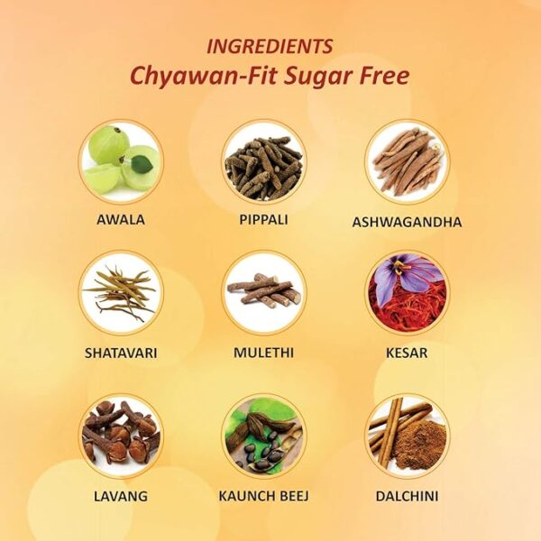 Baidyanath Chyawan-fit SF Chyawanprash 1 Kg - Image 3