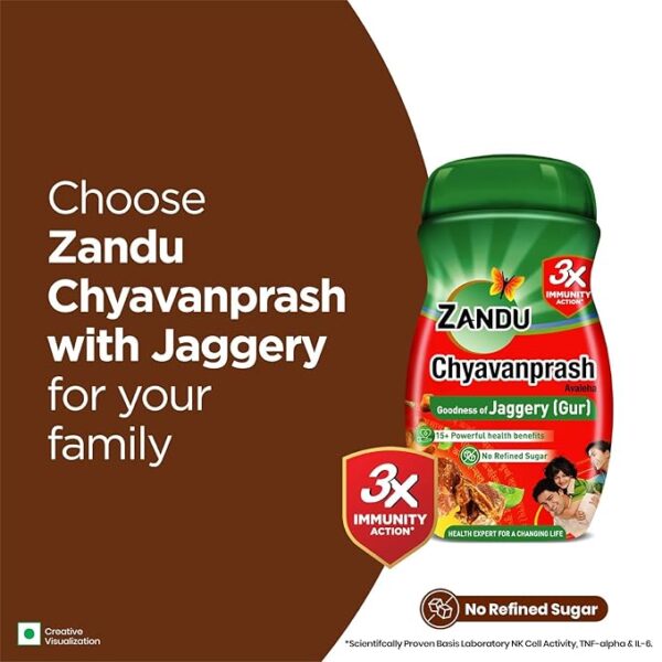 Zandu Chyavanprash Avaleha 900g - Image 3