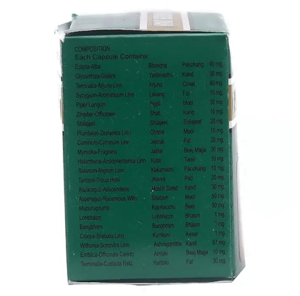 Dev Paurush Jiwan 60 Capsule - Image 5